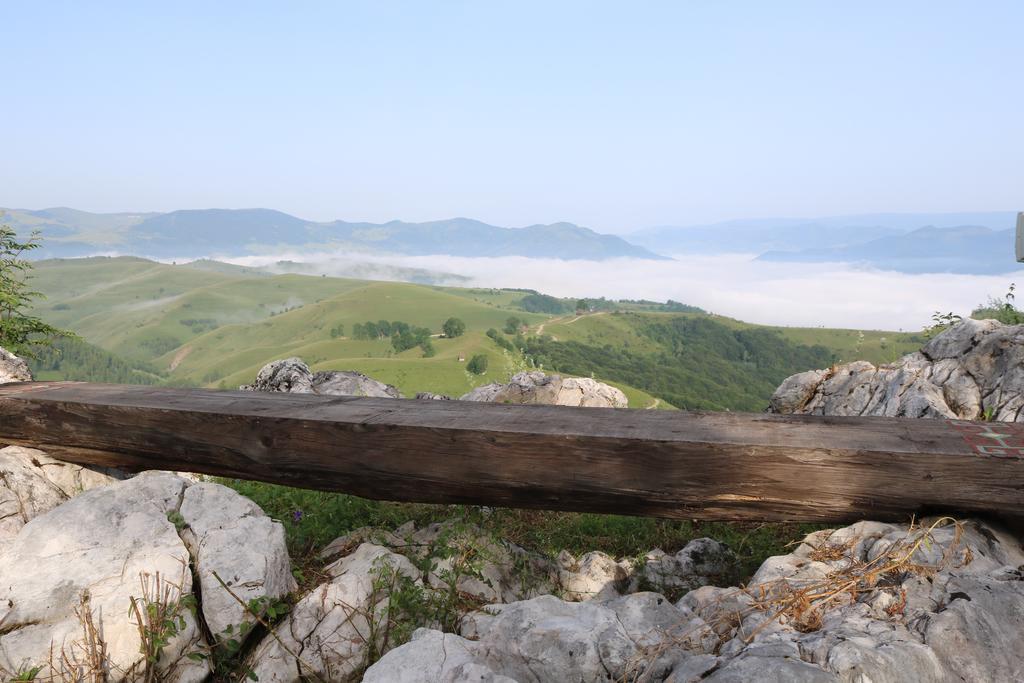 Hôtel Raven'S Nest à Sălciua de Jos Extérieur photo