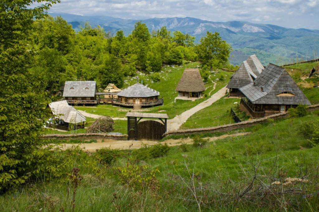 Hôtel Raven'S Nest à Sălciua de Jos Extérieur photo